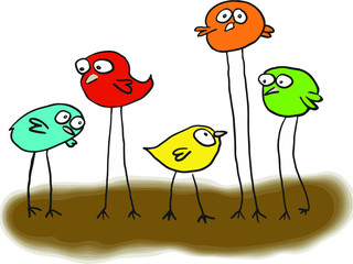 Vector Illustration  Cartoon  chicken different color 