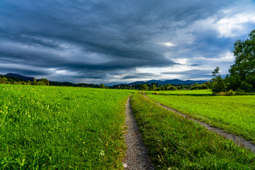 Saftig grüne Wiesenlandschaft mit Regenwolken