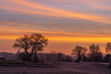 Fototapeta na wymiar sunrise morning winter field trees golden sky