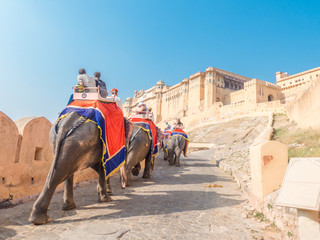 Elephant Ride at Amber-Fort Amber Jaipur Rajasthan India