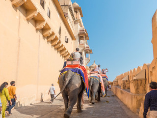 Naklejka premium Elephant Ride at Amber-Fort Amber Jaipur Rajasthan India