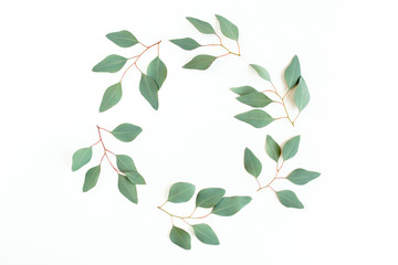 Round frame with branches eucalyptus isolated on white background. lay flat, top view