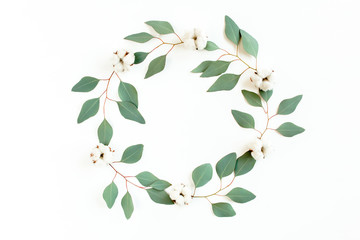 Round frame with branches eucalyptus and cotton isolated on white background. lay flat, top view