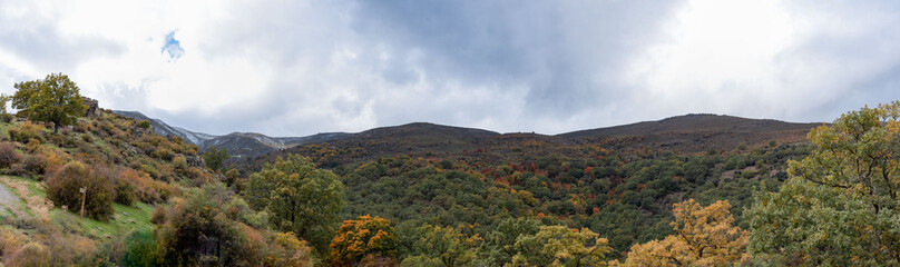 Dehesa del Camarate