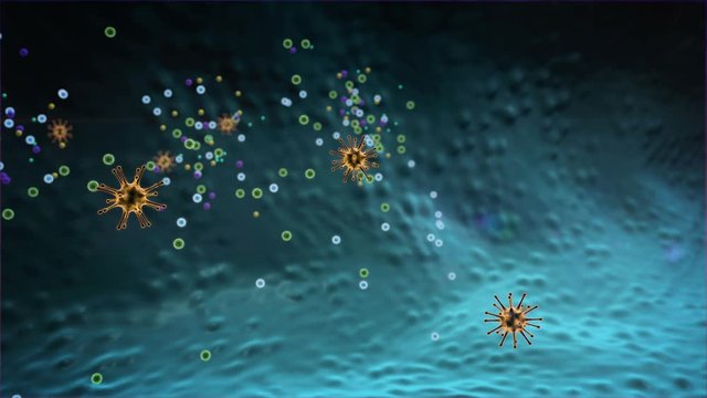 virus attack the human body, virus cell and Lymphocytes, T-lymphocytes attack a migrating viruses, virus attacked by lymphocytes, Macrophage attack of the viruses
