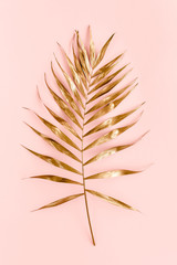 Golden tropical date palm leaves on pink background. Flat lay, top view minimal concept.