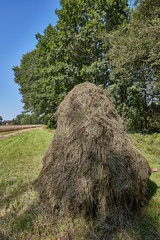 landwirtschaft reuter