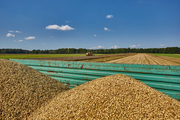 bio landwirt
