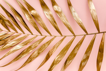 Golden tropical date palm leaves on pink background. Flat lay, top view minimal concept.