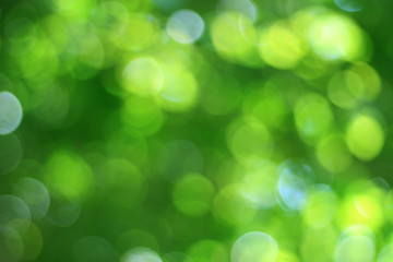 Obraz premium Natural yellowish green bokeh