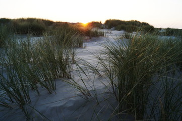 Sonnnenuntergang hinter Sanddünen an der Nordsee