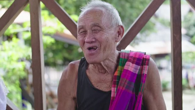 Happy Senior Asian Man At Countryside