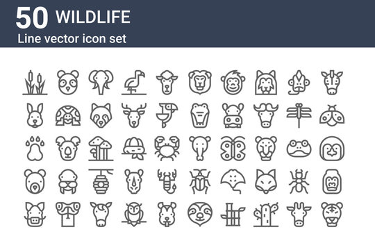set of 50 wildlife icons. outline thin line icons such as tiger, boar, bear, pawprints, rabbit, panda