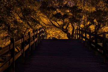 Spooky Path 
