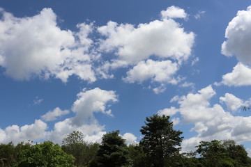 Obraz premium blue sky and white clouds