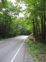 Obraz premium Country Joy Ride