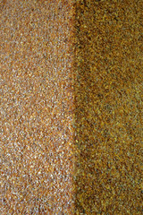 Beautiful textured surface of natural stone at the mineral exhibition