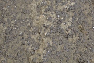 Beautiful textured surface of natural stone at the mineral exhibition