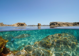Fototapeta premium Mediterranean seascape, rocky coastline with fish underwater, split view over and under sea surface, Spain, Costa Brava, Catalonia, El Port de la Selva, Cap de Bol