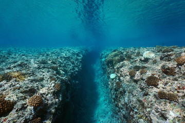Rocky reef eroded by the swell, a trench on the ocean floor, underwater seascape, Pacific ocean,...
