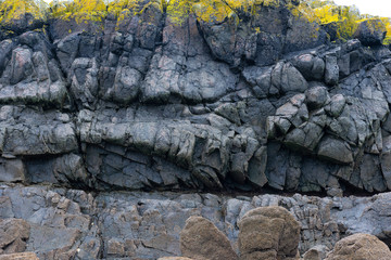 France; Bretagne. rocher avec végétation sur une plage de sable à marée basse. rock with vegetation on a sandy beach at low tide.
