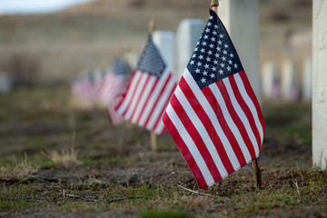 The american flag in front of a grave