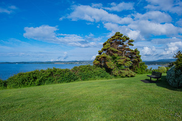 Tree Against Cloudy Sky