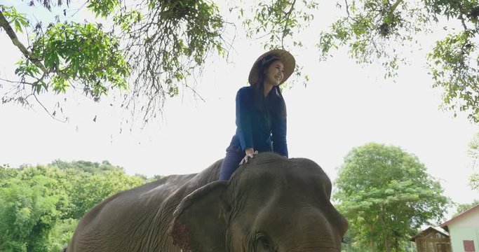 Happy Young Lady Riding An Elephant In The Forest 