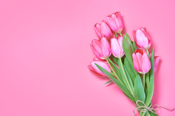 Pink tulip bouquet on painted pink background. Space for text. Top view.