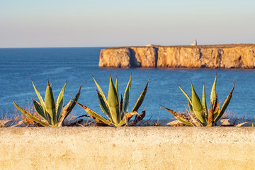 Sagres, Portugal - beautiful sunrise colors over lighthouse on Atlantic coast 