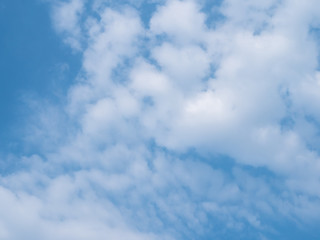 The blue sky on earth. Low Angle