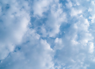 Fototapeta premium The blue sky on earth. Low Angle