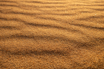 Fototapeta na wymiar Sandy background and texture: waves of sand on the coast close-up. Horizontal frame view