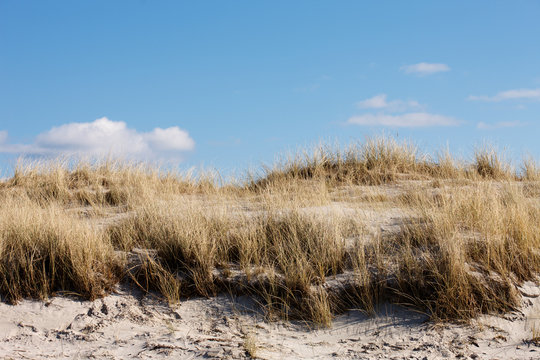 Ostseed&uuml;ne am Strand