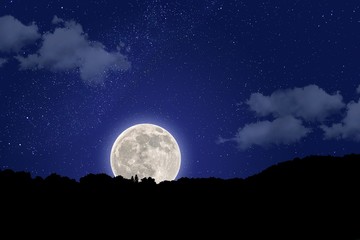 Silhouette shot of a forest with a glowing moon with a starry night blue sky in the background © Angelantonio Caputo/Wirestock