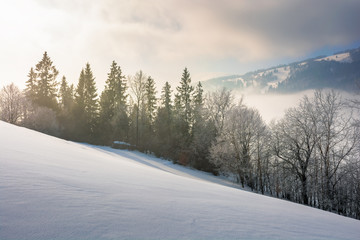 dramatic winter sunrise. trees in hoarfrost on a snow covered slope. clouds and mist floating in the valley. borzhava mountain ridge in the distance. amazing open vistas in gloomy frosty weather