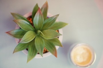 Coffee time in office. Capsule espresso in double glass cup - 100% arabica