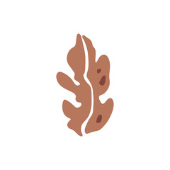 Obraz premium Abstract floral element. Contemporary scandinavian design. Good for posters, postcards, invitations, t-shirt prints. Vector illustration. Clipart