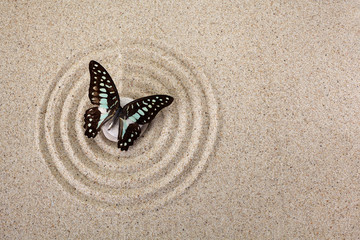 Plakat Zen garden meditation stone for concentration and relaxation with butterfly. Top view