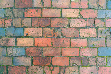 Obraz premium The pavement of the old red brick.