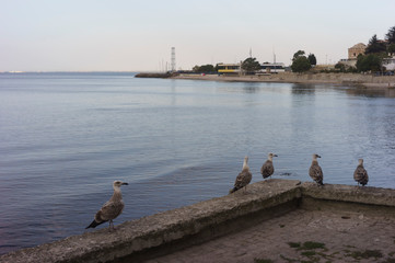 Delicate dawn, morning in Bulgaria in the bay of Nessebar, calm landscape, relaxation and...
