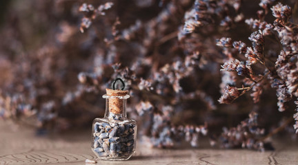 lavender flowers in small glass bottle