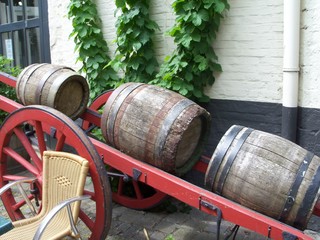 wine barrels in vineyard