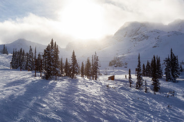 Fototapeta premium Whistler, British Columbia, Canada. Beautiful Aerial View of the snowy mountain during a vibrant and sunny winter day.