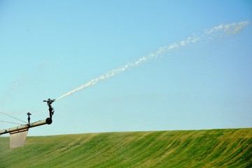 sprinkler irrigation in a field