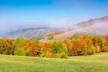 foggy mountain scenery in autumn. clouds rising above the rolling hills on a sunny morning. wonderful landscape with trees in fall foliage and grassy meadows. spectacular weather