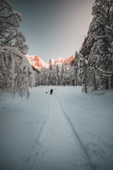 Fototapete bei efototapeten.de bestellen   