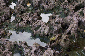 Obraz na płótnie Canvas rocas del mar