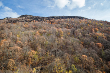 Burnt highlands of a mountain after a fire in the distance and foreground autumn colored trees