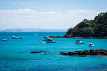 Fototapeta premium island new zealand